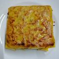 Cooksnap Nor Zeha Baba semasa beliau membuat Murtabak Mini *Kulit Popia*.