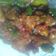 Cooksnap dari Oliveia Faizin untuk resep Ayam Kecap Pedas Manis Cabe Hijau