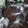 Cooksnap dari Desy Anita Ningrum untuk resep blackrose brownies eggless
