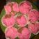 Cooksnap dari Yulia Mulyadi untuk resep Bolu kukus vegan (eggless dairy free)