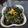 Padma_srivastava Srivastava's cooksnap of when they made Bathua Saag.