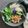 Cooksnap dari Marissa Pratiwi untuk resep Tumis Bayam Daging