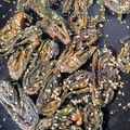 Charusheela Prabhu's cooksnap of when they made अऴुवडी (aluwadi recipe in marathi).