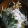 Cooksnap dari Zulmi Haykal untuk resep Lumpia isi kentang wortel