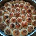 صورة من وردة جورية حمراء، شاركها بعد تجربة وصفة خلية نحل بالنوتيلا 🐝🍫🐝🍫