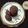 Daxa Parmar's cooksnap of when they made Chocolate ragi sugarfree cookies.