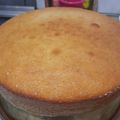El cooksnap de Eliana Almiron cuando hizo Torta de yogurt bebible.