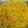 El cooksnap de Aurora cuando hizo Risotto de verduras con pollo (Thermomix).