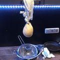 Anita Polonkai Cooksnap-ja, amikor elkészítette a(z) Sárgatúró receptet.