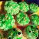 Cooksnap dari Dwi Munfaatin untuk resep Cup Cake Pandan