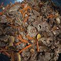 Cooksnap dari I.Yulan untuk resep Beef Yakiniku (ala Yoshinoya)(40/18)