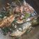 Cooksnap dari Adinda Putri ismayunda untuk resep 7.44 Tongkol bumbu lombok ijo(coan coan)