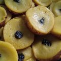 Cooksnap dari katun untuk resep Kue lumpur labu kuning