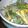 Cooksnap dari Evi Khalisa 🍜DjowoKlaten untuk resep Oseng Tahu Tauge