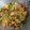 ekta lalwani's cooksnap of when they made સાબુદાણા ની ખીચડી (Sabudana Khichdi Recipe In Gujarati).