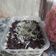 Cooksnap dari Hany Mulyani untuk resep Oreo Cheese Cake In Cup