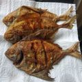 Cooksnap dari Sherly Yolanda untuk resep Patin goreng ketumbar