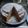 El cooksnap de luis gola cuando hizo Torta marmolada de coco y dulce de leche.