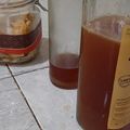 Cooksnap dari Florensia Wenda untuk resep Sirup Probiotik