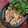 Cooksnap dari Desriayu untuk resep Sambal Tempe