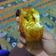 Cooksnap dari Irma Primadhaniar untuk resep GEHU PEDAS / TAHU ISI SAYURAN TERI PEDAS #pr_jajanandaerah