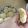 El cooksnap de Celestte cuando hizo Chipa.