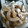 El cooksnap de Sil Godoy cuando hizo Churros con relleno de dulce de leche.