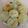 Madhuchhanda Guha's cooksnap of when they made কড়াইশুটির কচুরি (Koraisutir Khochuri recipe in Bengali).