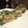 El cooksnap de laura muriel cuando hizo Rollo de espinacas relleno de salmón y queso philadelphia.