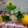 Cooksnap dari Erlina untuk resep Mojito Sprite