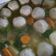 Cooksnap dari sofie untuk resep Sop baso sederhana