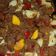 El cooksnap de Maria Alejandra Minguez cuando hizo Empanadas de carne saladas.