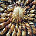 Cooksnap de dinguedefood sur la recette Tarte soleil (vegan)