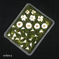 Sudipa Gope's cooksnap of when they made Palak Paneer (no onion, no garlic)..