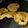 El cooksnap de Antonela Acuña cuando hizo Galletas de avena con mix de frutos secos y jengibre.