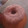 El cooksnap de Beluu Claisse cuando hizo Torta 1 2 3 4 de yogurt.