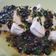 Cooksnap dari natcw untuk resep Steam Tahu bumbu taosi