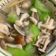 丐 的 蛤蜊絲瓜菇菇湯(簡單料理) cooksnap