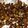 Garammasala81's cooksnap of when they made Roasted Brussel sprouts.