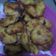 Cooksnap dari Zavela Raisa untuk resep Nangka Goreng Kriuk