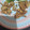 Cooksnap dari Sakhakum untuk resep 13. Jamur Tiram Krispy • Renyah Tahan lama •