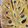 صورة من Sousou Ouahab 🇩🇿🇩🇿، شاركها بعد تجربة وصفة خبز الفوقاس fougasse aux olives