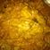 Cooksnap dari Raisa Ratu untuk resep Rendang Nangka Muda