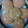 Khalise's cooksnap of when they made Orange Creamsicle Cookies.