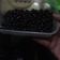 Cooksnap dari Ditha gendut untuk resep Boba nutrijel