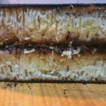 Cooksnap dari Ghea Raudha untuk resep Martabak Discard Sourdough