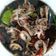Cooksnap dari Erie Yani untuk resep Cumi Masak Hitam