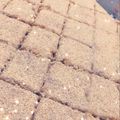 صورة من ليلي، شاركها بعد تجربة وصفة كيكة الرمل ✨