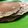 El cooksnap de liliana romero cuando hizo Hotcakes !!!.