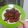 Cooksnap của Bonnie Nguyen khi họ làm theo món Ức Gà Chiên Sauce Teriyaki